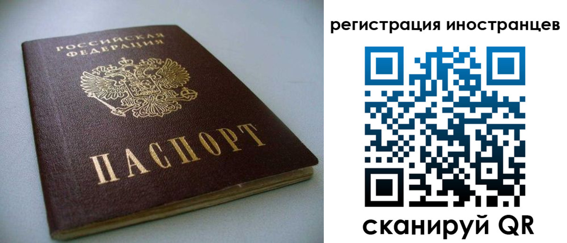 пропишу в квартире в Александрове