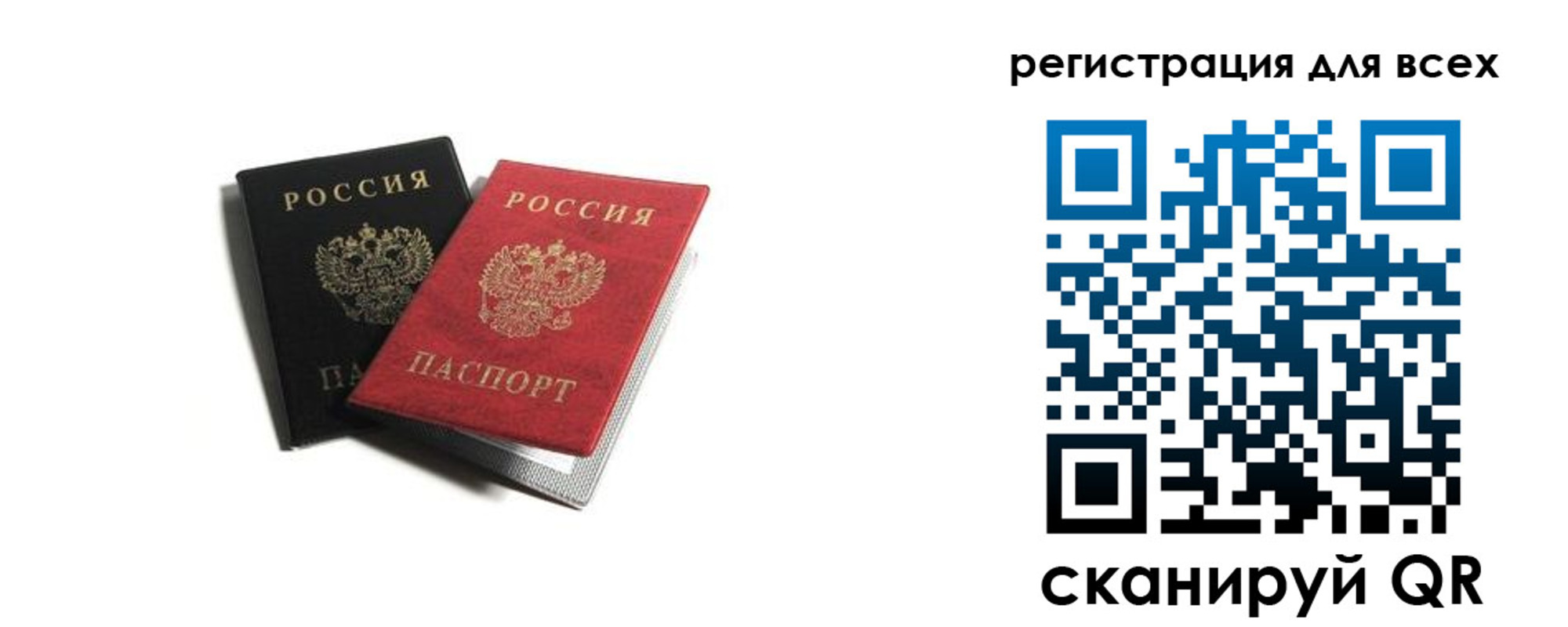 прописка гарантия в Александрове